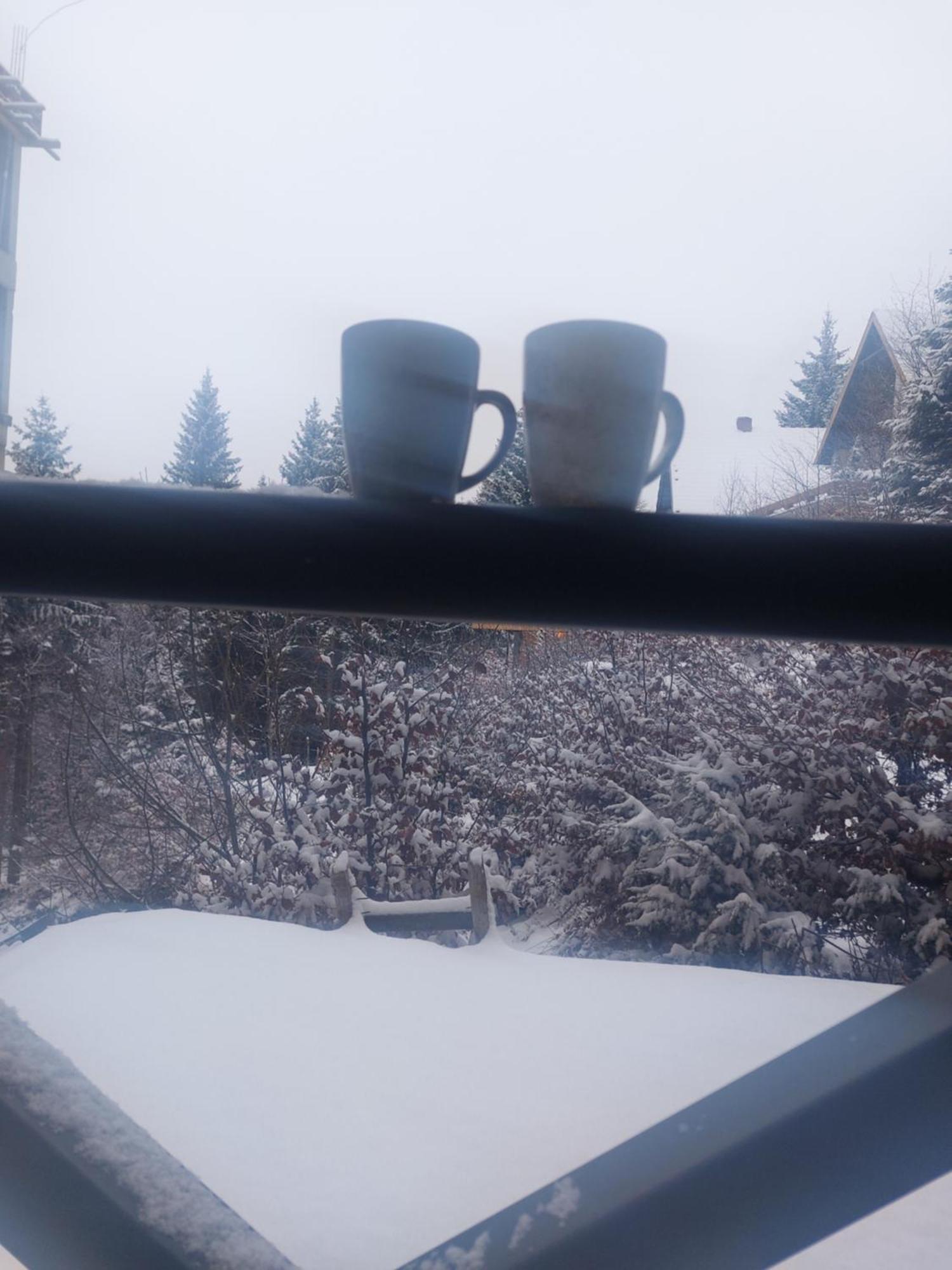Apartman Milly Kopaonik Eksteriør billede